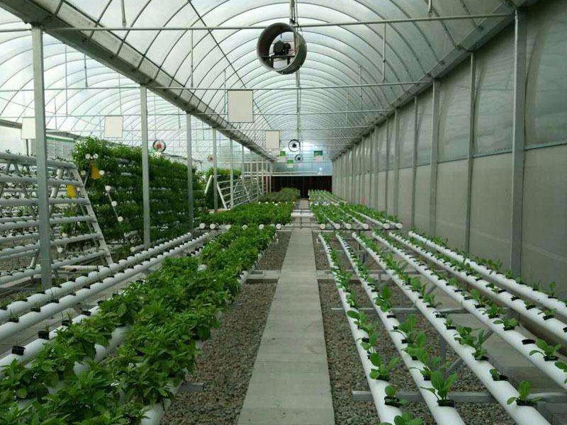 智能農(nóng)業(yè)大棚