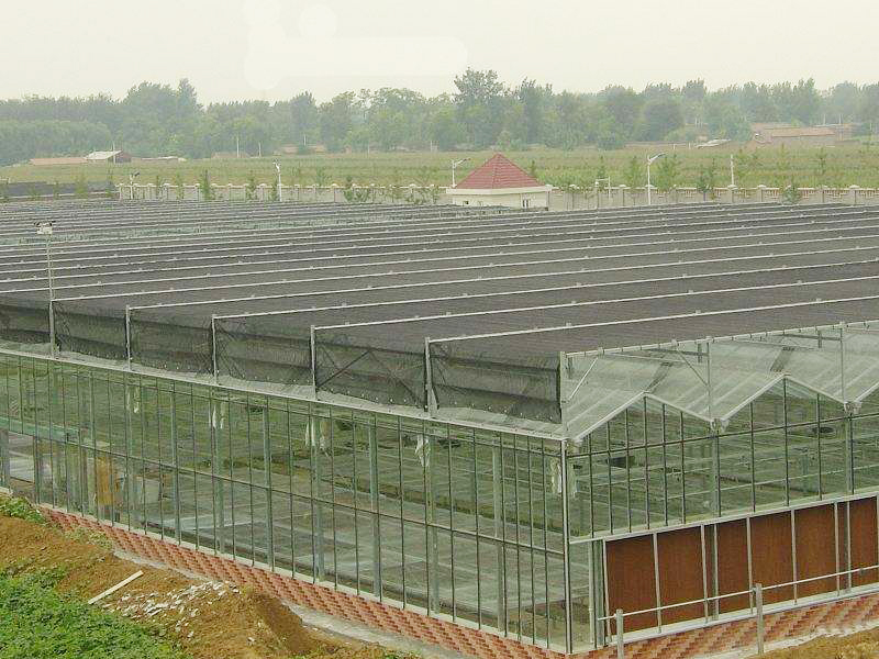 現代農業大棚