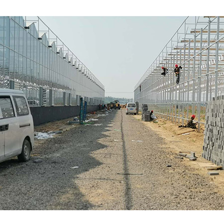 濰坊壽光紋絡溫室 (1).jpg