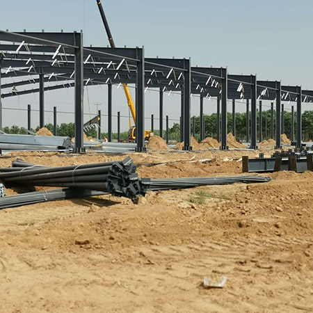 濰坊壽光紋絡溫室 (2).jpg